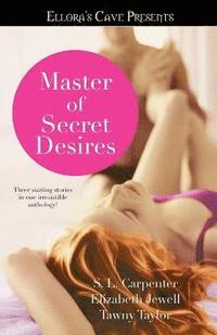 bokomslag Master of Secret Desires