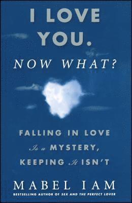 bokomslag I Love You. Now What?