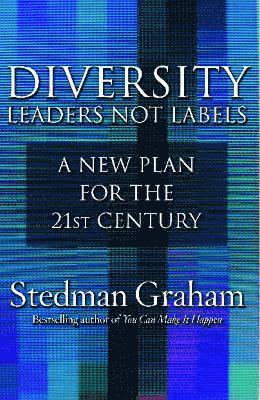 bokomslag Diversity: Leaders Not Labels