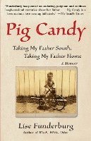 bokomslag Pig Candy: Taking My Father South, Taking My Father Home