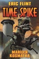 bokomslag Time Spike