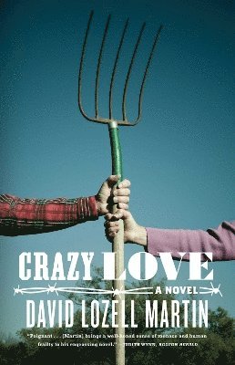 bokomslag Crazy Love