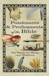 bokomslag Puzzlements & Predicaments of the Bible
