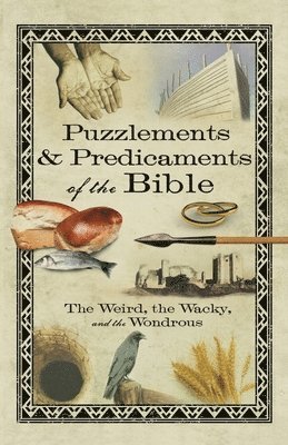 Puzzlements & Predicaments of the Bible 1
