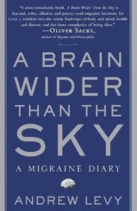 bokomslag A Brain Wider Than the Sky