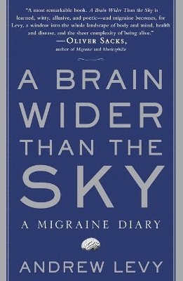 Brain Wider Than the Sky