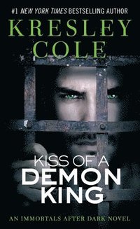 bokomslag Kiss of a Demon King