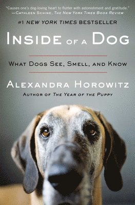 bokomslag Inside of a Dog: What Dogs See, Smell, and Know