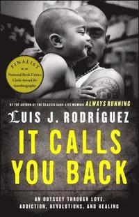 bokomslag It Calls You Back: An Odyssey Through Love, Addiction, Revolutions, and Healing