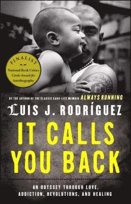 bokomslag It Calls You Back: An Odyssey Through Love, Addiction, Revolutions, and Healing