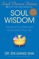 Zhi Gang Sha - Soul Wisdom, Häftad