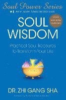 bokomslag SOUL WISDOM