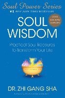 Soul Wisdom 1