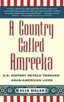 bokomslag Country Called Amreeka: Arab Roots, American Stories