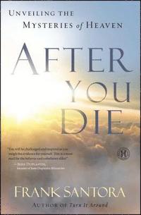 bokomslag After You Die