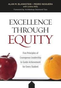 bokomslag Excellence Through Equity