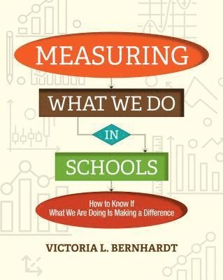 bokomslag Measuring What We Do in Schools