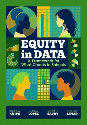 bokomslag Equity in Data: A Framework for What Counts in Schools