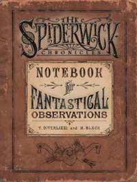 bokomslag Spiderwick's Notebook for Fantastical Observations