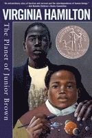 The Planet of Junior Brown