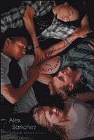 Alex Sanchez - Boyfriends with Girlfriends, Häftad