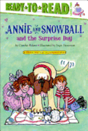 bokomslag Annie and Snowball and the Surprise Day