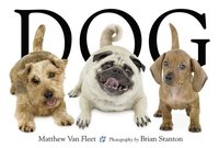 bokomslag Fleet, M: Dog