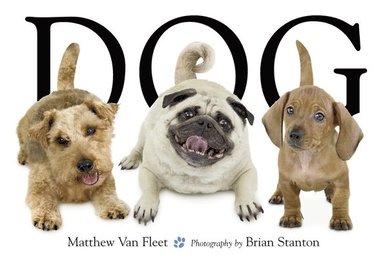 bokomslag Fleet, M: Dog