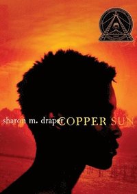bokomslag Copper Sun