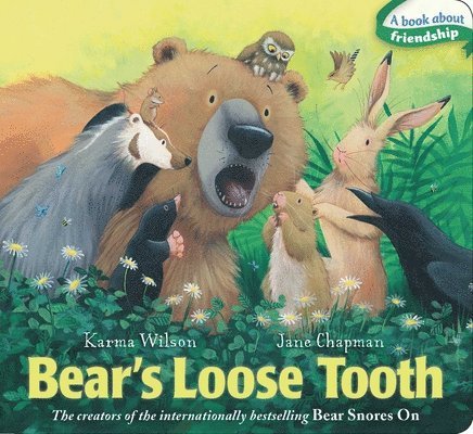 Bear's Loose Tooth 1