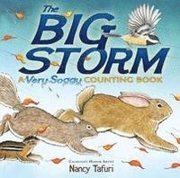 bokomslag The Big Storm: A Very Soggy Counting Book