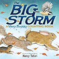 The Big Storm: A Very Soggy Counting Book 1