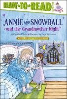 bokomslag Annie and Snowball and the Grandmother Night: Ready-To-Read Level 2