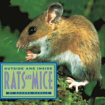 Sandra Markle - Outside and Inside Rats and Mice, Häftad