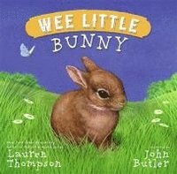 bokomslag Wee Little Bunny