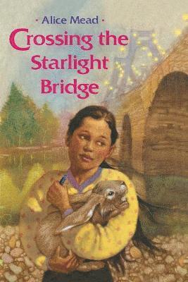 bokomslag Crossing the Starlight Bridge