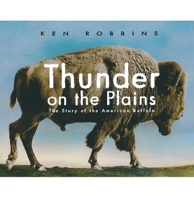 bokomslag Thunder on the Plains