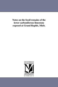 bokomslag Notes on the fossil remains of the lower carboniferous limestone exposed at Grand Rapids, Mich.