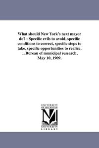 bokomslag What should New York's next mayor do?