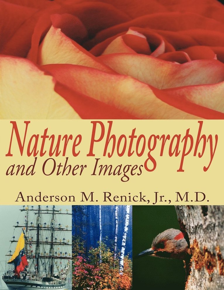 Nature Photography and Other Images 1