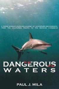 bokomslag Dangerous Waters