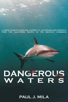 Dangerous Waters 1