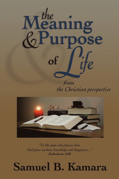 bokomslag Meaning and Purpose of Life