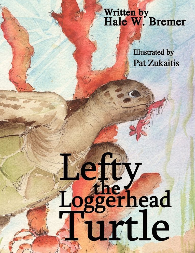 Lefty the Loggerhead Turtle 1