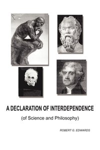 bokomslag A Declaration of Interdependence