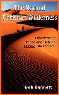 bokomslag The Normal Christian Wilderness