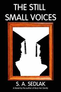 bokomslag Still Small Voices