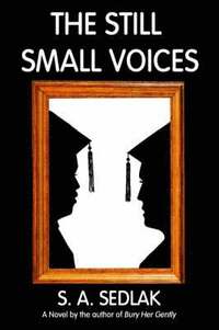 bokomslag Still Small Voices