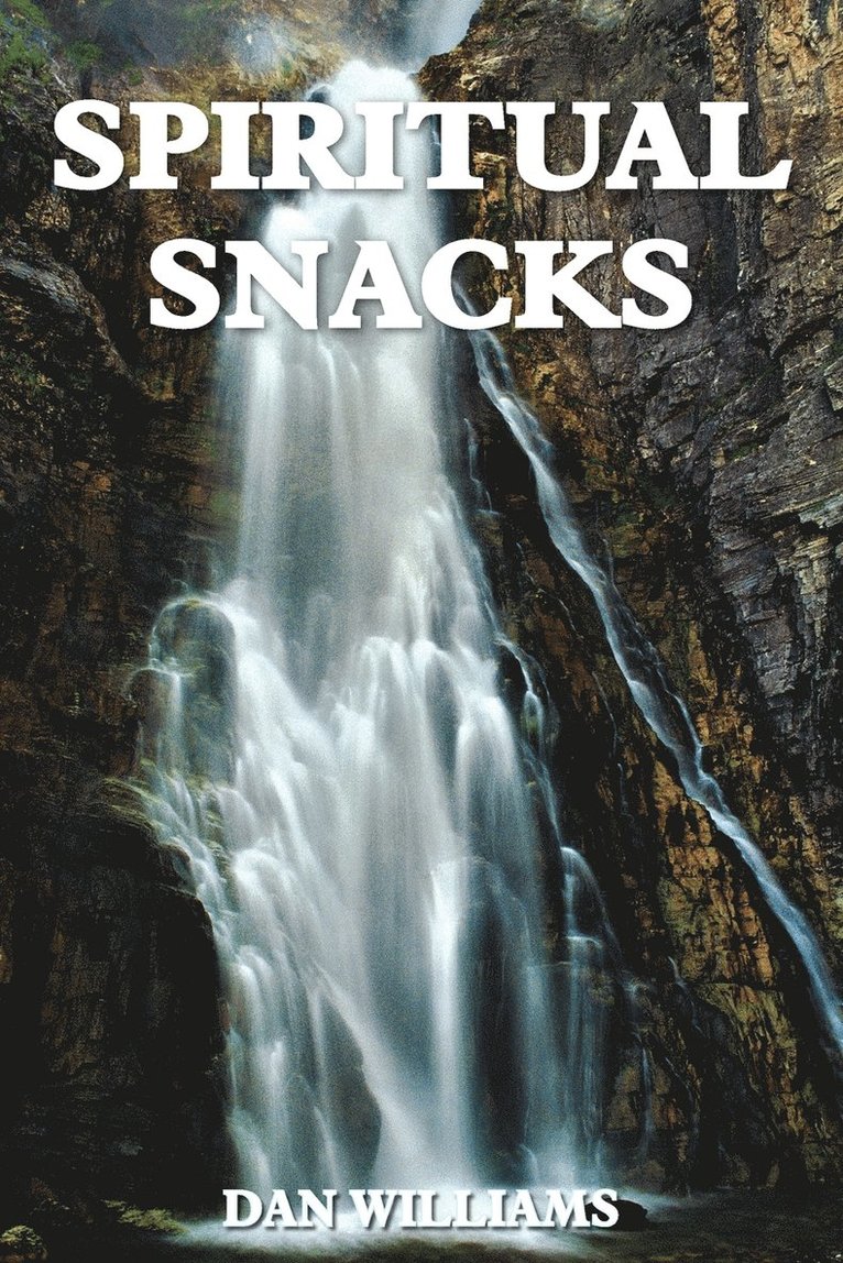 DAN WILLIAMS, Dan Williams - Spiritual Snacks, Häftad