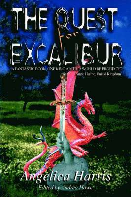 The QUEST for EXCALIBUR 1